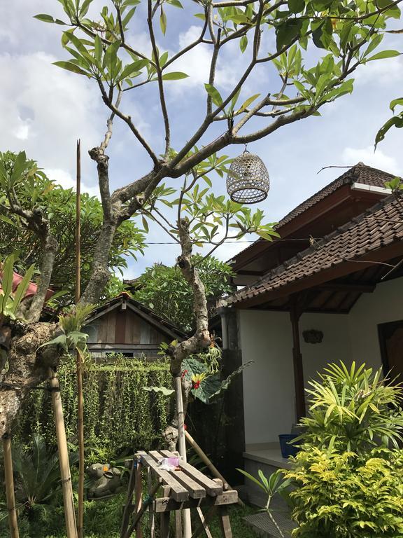 Dimuwa Ubud Exteriér fotografie