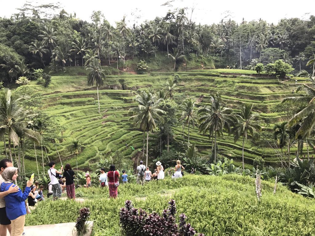 Dimuwa Ubud Exteriér fotografie